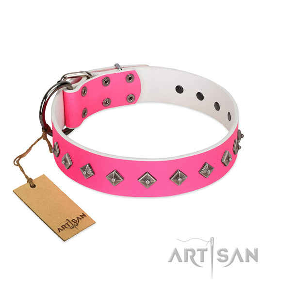 Genuine leather dog collar with stylish design studs handmade doggie