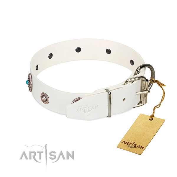 Impressive studded full grain natural leather dog collar