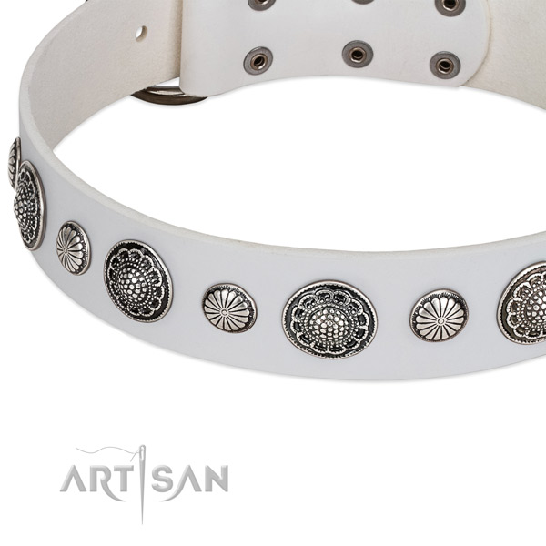 Full grain genuine leather collar with rust resistant buckle for your handsome canine