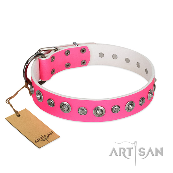 Quality full grain leather dog collar with exquisite adornments