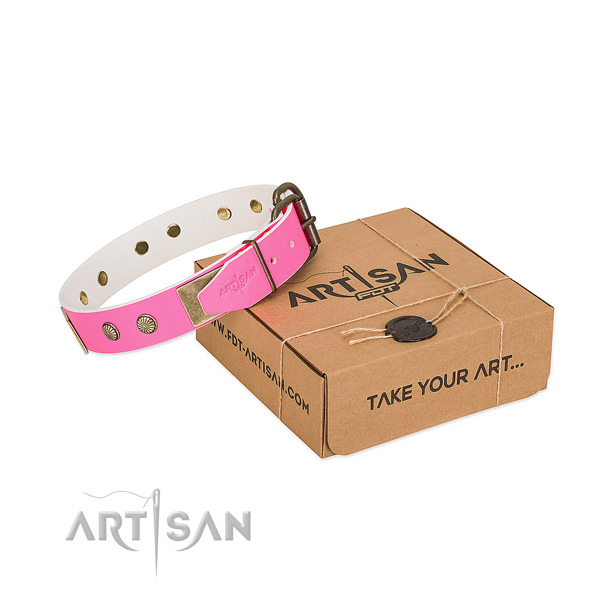 Reliable embellishments on dog collar for daily use