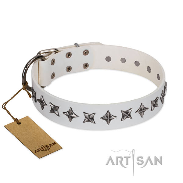 Daily use dog collar of top notch full grain natural leather with decorations