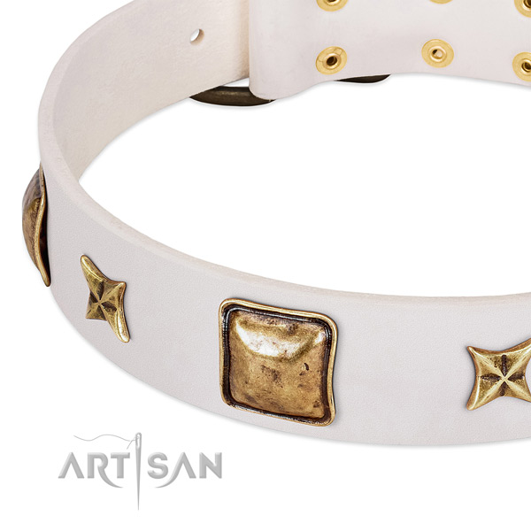 Rust-proof traditional buckle on full grain natural leather dog collar for your dog