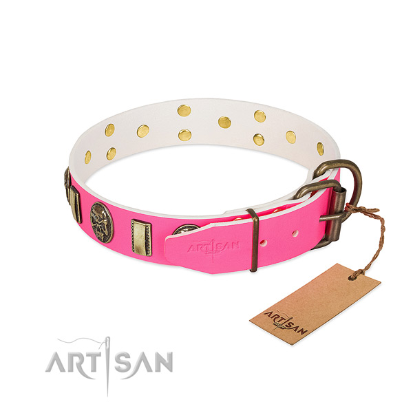 Corrosion proof D-ring on genuine leather dog collar for your doggie