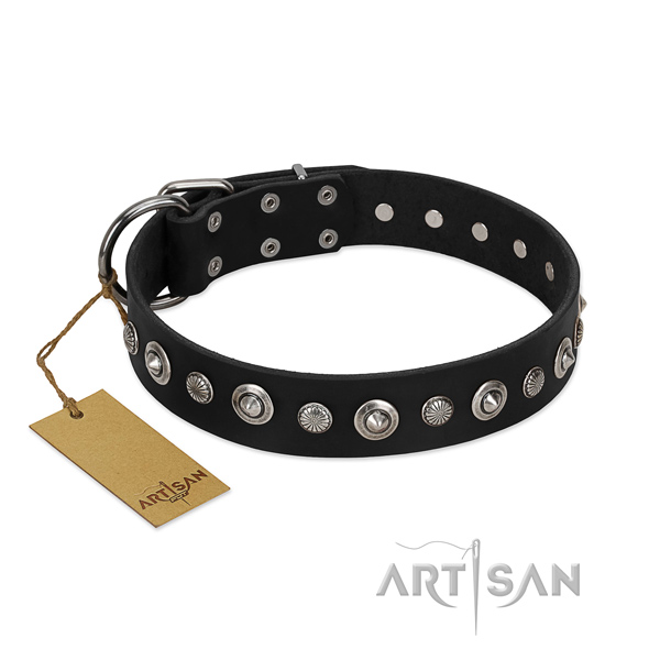 Reliable genuine leather dog collar with unique embellishments