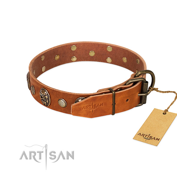 Strong buckle on full grain genuine leather collar for everyday walking your canine