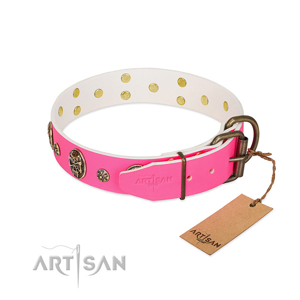 Corrosion resistant D-ring on genuine leather collar for everyday walking your canine