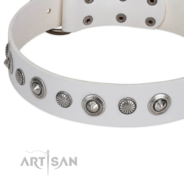 Full grain genuine leather collar with durable fittings for your impressive canine