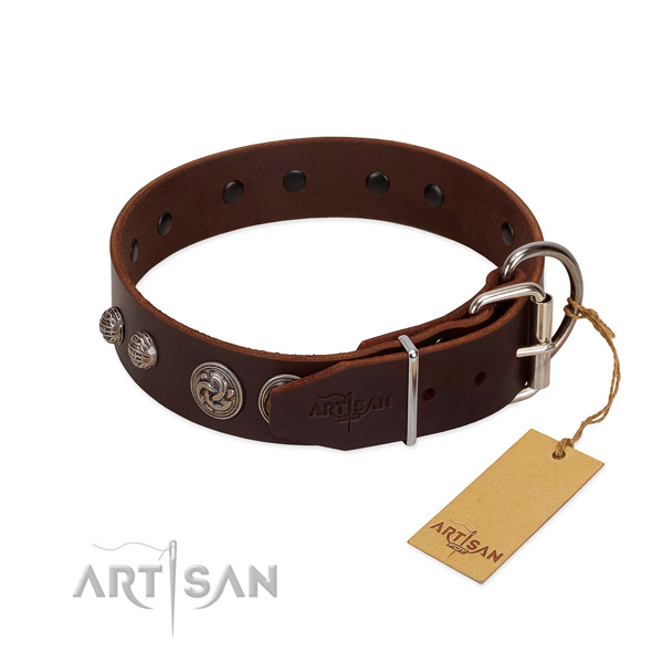 Rust-proof studs on leather dog collar for your dog