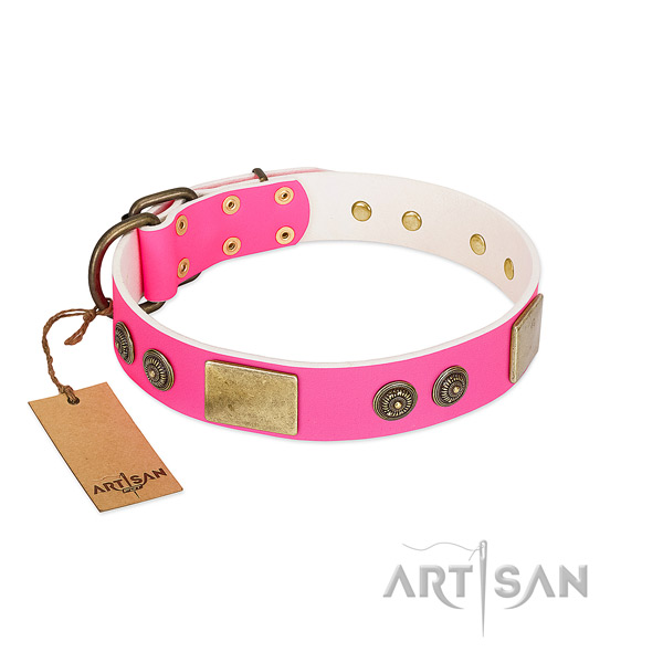 Exceptional leather dog collar for walking