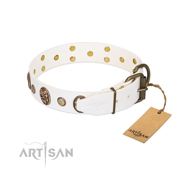 Corrosion proof traditional buckle on full grain natural leather collar for basic training your dog