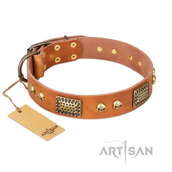 Easy wearing full grain natural leather dog collar for everyday walking your pet