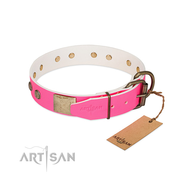 Strong traditional buckle on basic training dog collar