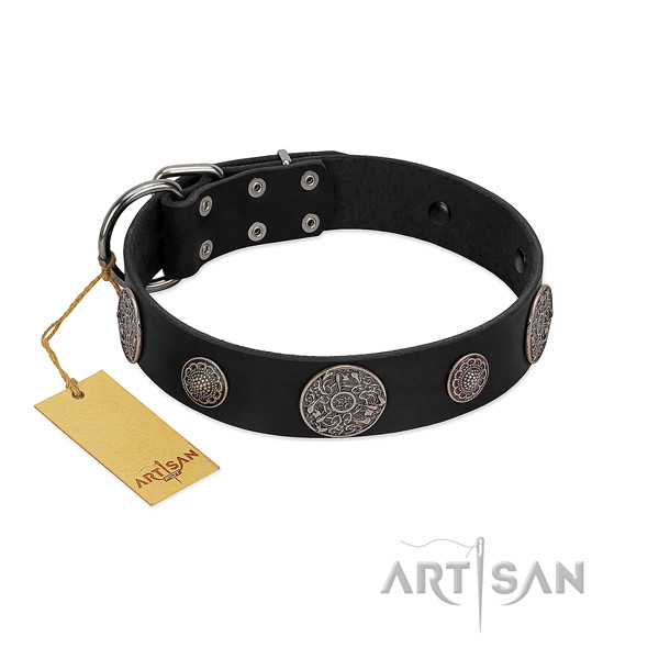 Adjustable genuine leather collar for your stylish four-legged friend