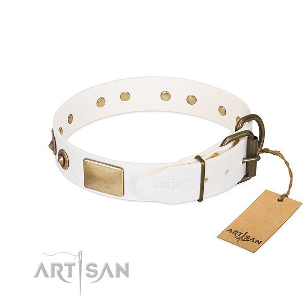 Rust resistant embellishments on leather dog collar for your pet