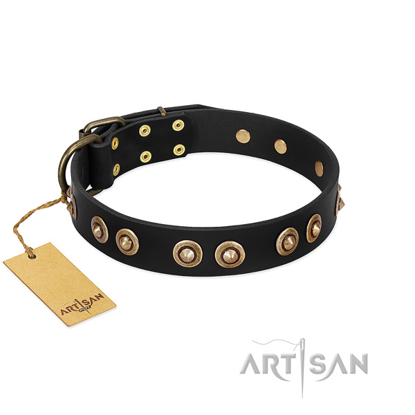 Corrosion resistant hardware on leather dog collar for your pet