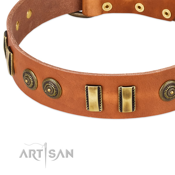 Strong adornments on full grain leather dog collar for your canine