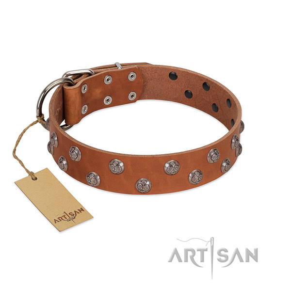 Durable genuine leather dog collar with embellishments