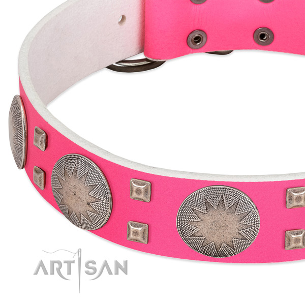 Everyday walking high quality full grain genuine leather dog collar