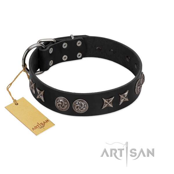 Designer leather dog collar for walking