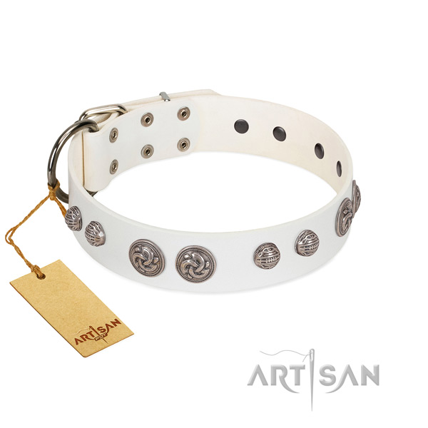 Strong buckle on full grain natural leather dog collar for your four-legged friend