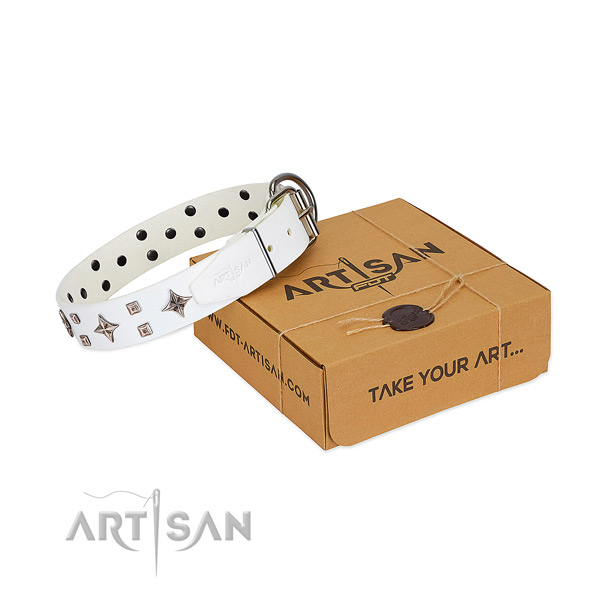 Incredible leather collar for your dog everyday walking