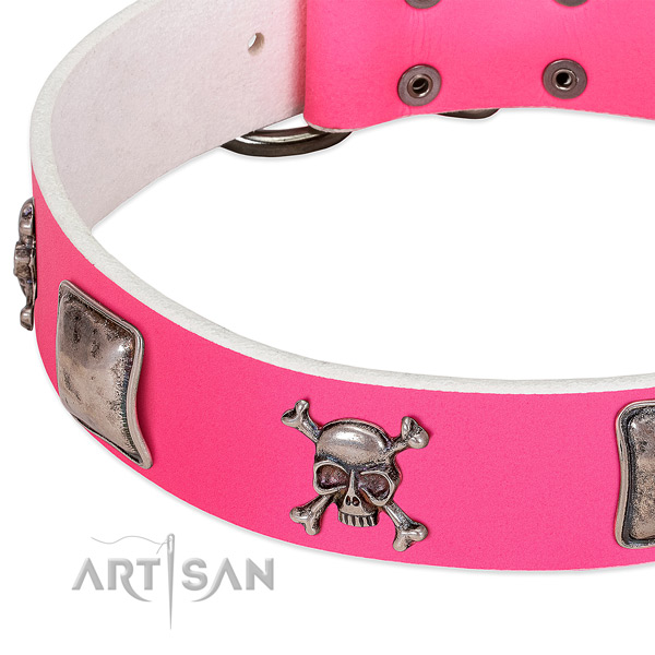Reliable adornments on full grain genuine leather dog collar