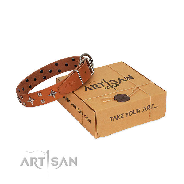 Amazing full grain leather collar for your dog stylish walks