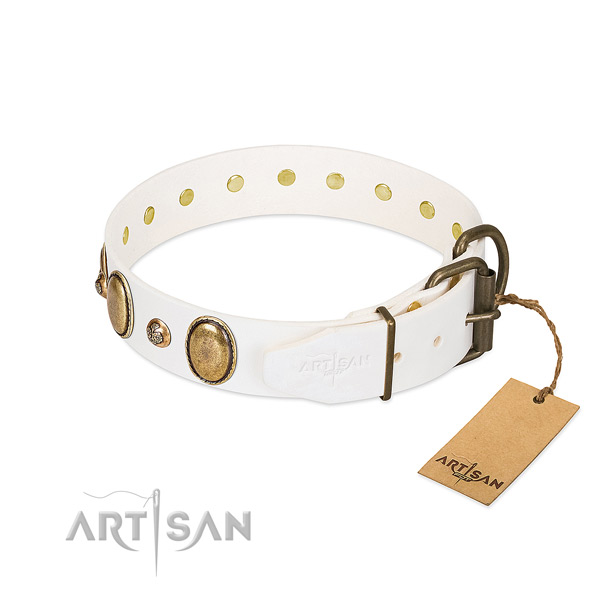 Fancy walking full grain natural leather dog collar