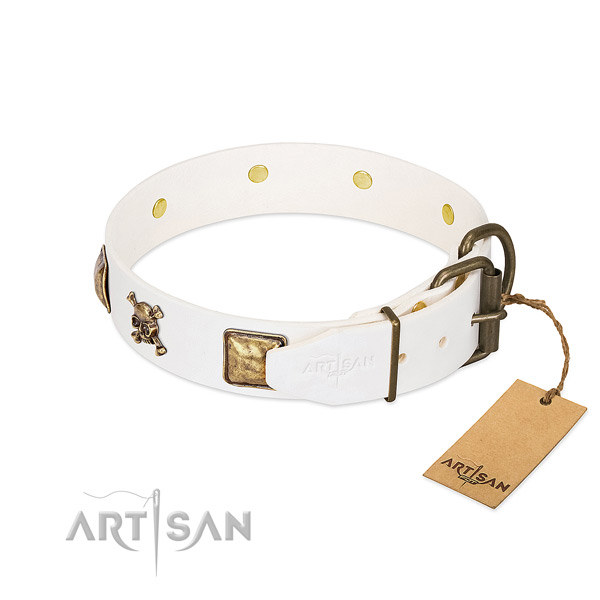 Stunning leather dog collar with durable embellishments