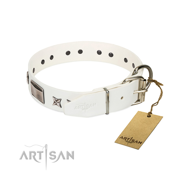 Comfortable collar of leather for your handsome pet