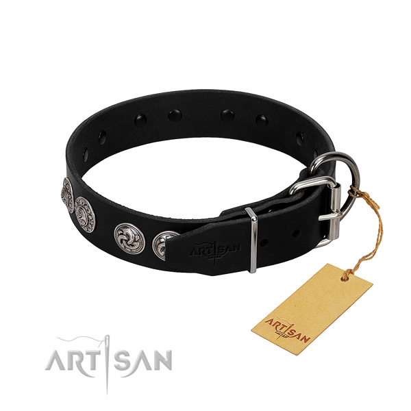 Amazing full grain natural leather collar for your dog stylish walks
