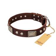 "Pirate Skull" FDT Artisan Brown Leather Doberman Collar with Old Silver Look Plates and Skulls "Pirate Skull" FDT Artisan Brown Leather Doberman Collar with Old Silver Look Plates and Skulls