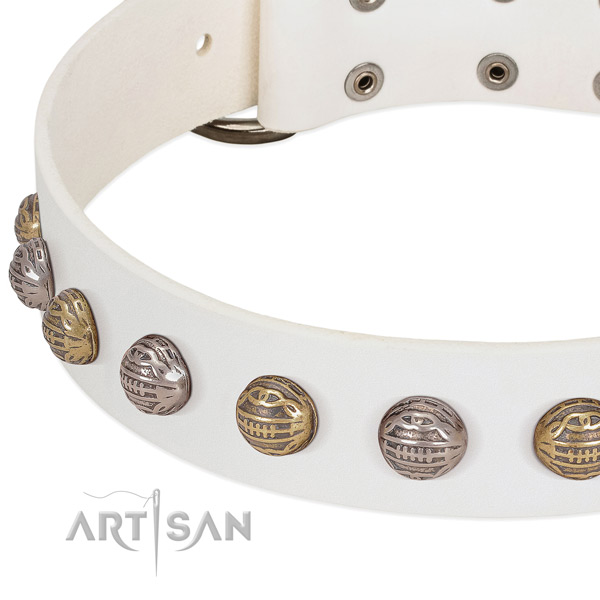 Durable buckle on full grain genuine leather collar for walking your doggie