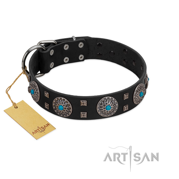 Comfy wearing natural leather dog collar with inimitable studs