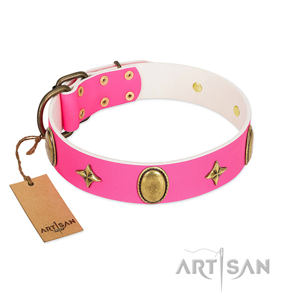 Soft leather collar with exceptional studs for your dog