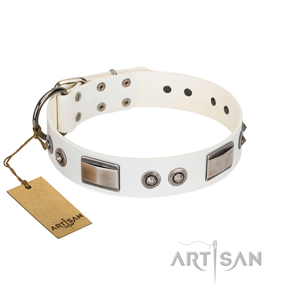 Handcrafted dog collar of full grain natural leather with adornments