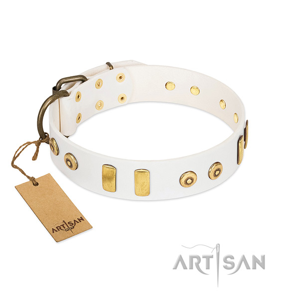 Full grain leather dog collar with extraordinary adornments for daily walking