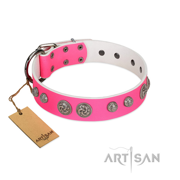 Corrosion resistant decorations on genuine leather dog collar for your pet