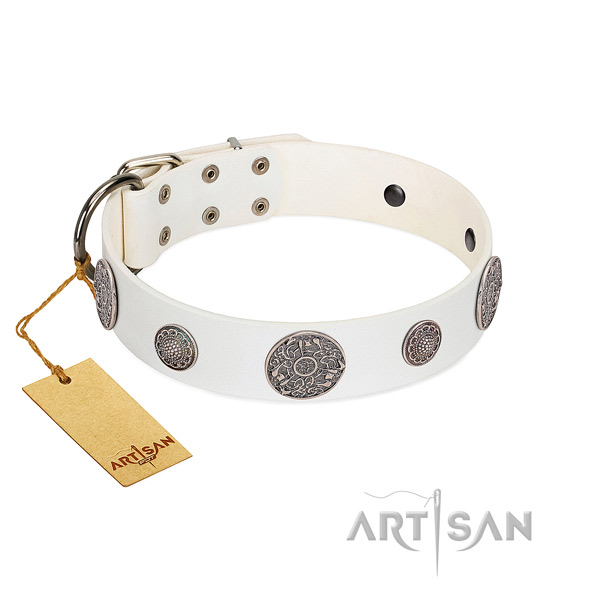 Fashionable full grain natural leather collar for your beautiful four-legged friend