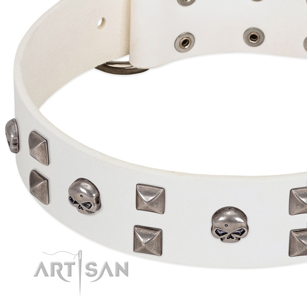 Strong natural leather dog collar made for your pet