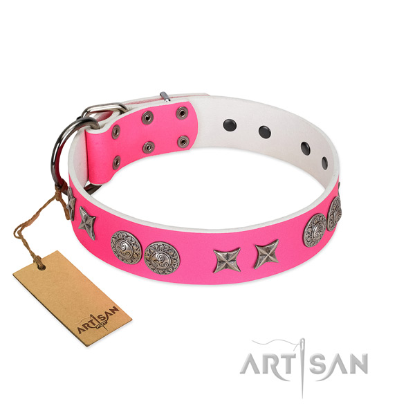 Full grain leather collar with fashionable embellishments for your four-legged friend