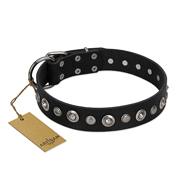 "Genteel Charm" FDT Artisan Black Leather Doberman Collar with Silver-like Round Conchos "Genteel Charm" FDT Artisan Black Leather Doberman Collar with Silver-like Round Conchos