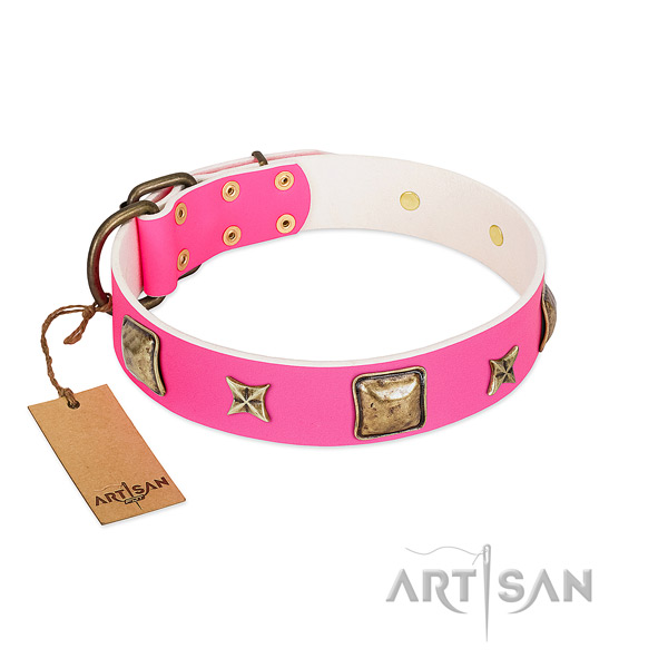 Natural leather dog collar of best quality material with extraordinary decorations
