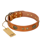 "Sun Beams" FDT Artisan Tan Leather Doberman Collar with Decorations "Sun Beams" FDT Artisan Tan Leather Doberman Collar with Decorations