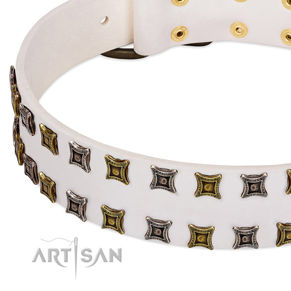 Gentle to touch leather dog collar for your stylish doggie