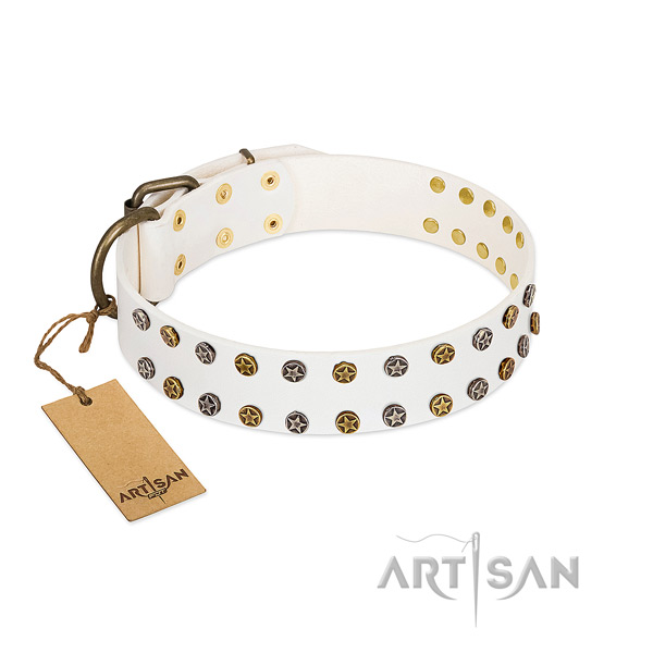 Stylish design natural leather dog collar with rust-proof embellishments