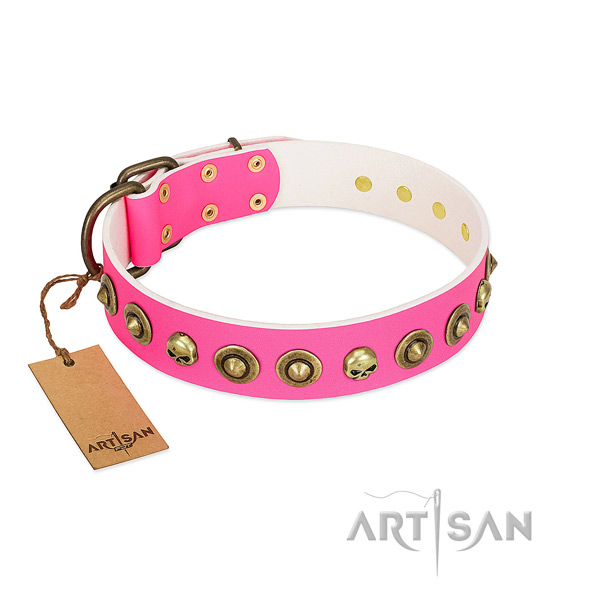 Full grain genuine leather collar with unique studs for your four-legged friend