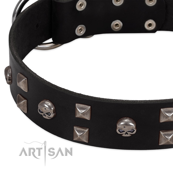 Best quality full grain genuine leather dog collar created for your canine