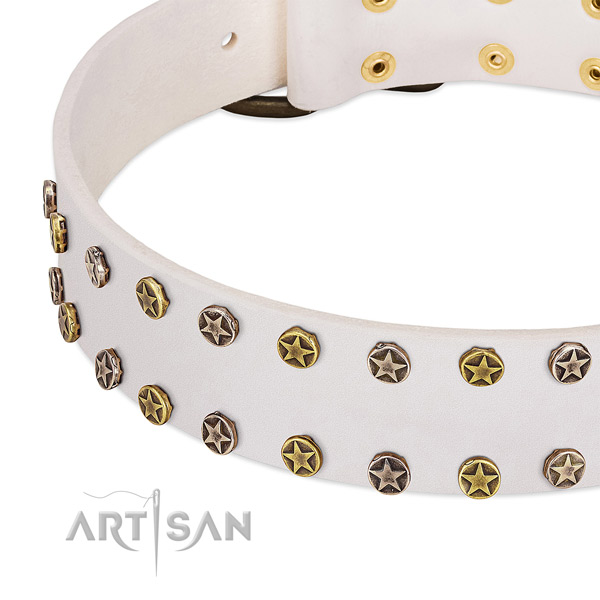 Amazing embellishments on leather collar for your dog